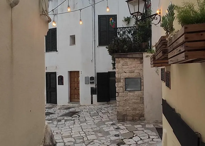 Casa Coralli Centro Storico